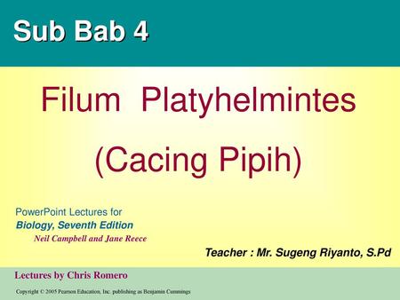 Filum Platyhelmintes (Cacing Pipih) Sub Bab 4