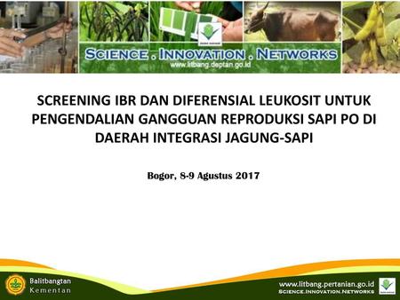 SCREENING IBR DAN DIFERENSIAL LEUKOSIT UNTUK PENGENDALIAN GANGGUAN REPRODUKSI SAPI PO DI DAERAH INTEGRASI JAGUNG-SAPI Bogor, 8-9 Agustus 2017.