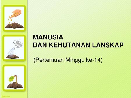 MANUSIA DAN KEHUTANAN LANSKAP