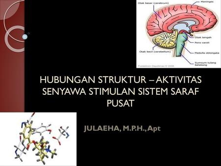 HUBUNGAN STRUKTUR – AKTIVITAS SENYAWA STIMULAN SISTEM SARAF PUSAT