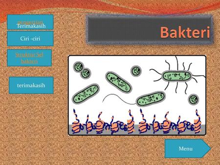 Bakteri pengertian Ciri -ciri Struktur Sel bakteri Terimakasih
