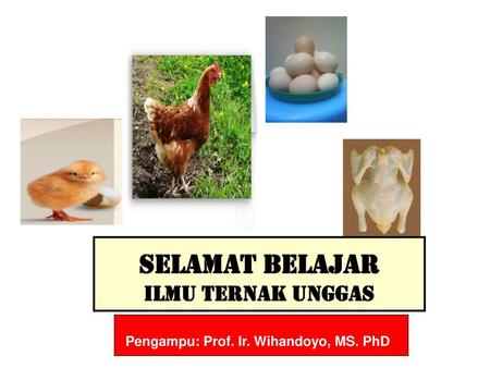 Pengampu: Prof. Ir. Wihandoyo, MS. PhD