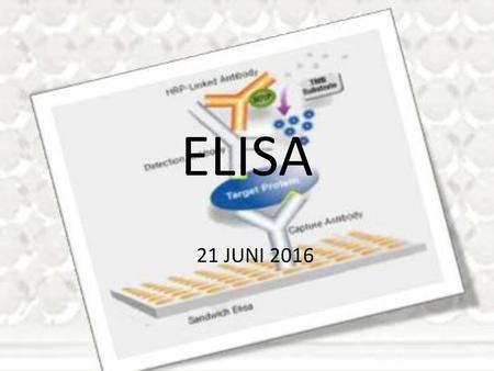 ELISA 21 JUNI 2016.