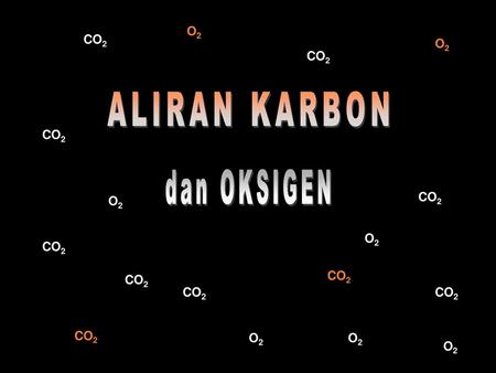 ALIRAN KARBON dan OKSIGEN O2 CO2 O2 CO2 CO2 CO2 O2 O2 CO2 CO2 CO2 CO2