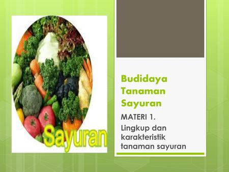 Budidaya Tanaman Sayuran