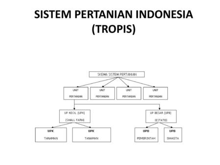 SISTEM PERTANIAN INDONESIA (TROPIS)