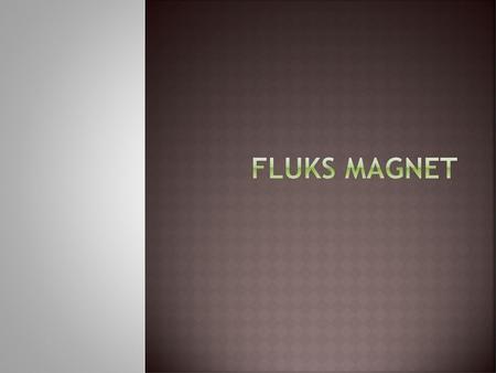 FLUKS MAGNET.