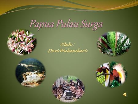 Papua Pulau Surga Oleh : Devi Wulandari.