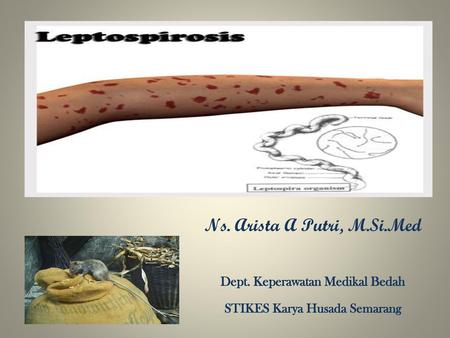 Ns. Arista A Putri, M.Si.Med