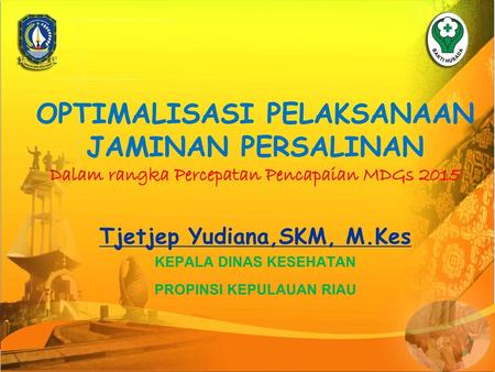 OPTIMALISASI PELAKSANAAN JAMINAN PERSALINAN Dalam rangka Percepatan Pencapaian MDGs 2015 Tjetjep Yudiana,SKM, M.Kes KEPALA DINAS KESEHATAN PROPINSI KEPULAUAN.