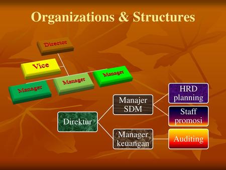 Organizations & Structures