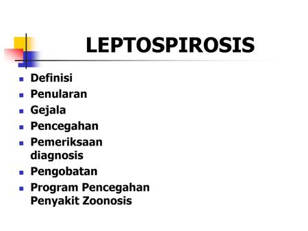 LEPTOSPIROSIS Definisi Penularan Gejala Pencegahan