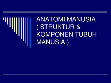 ANATOMI MANUSIA ( STRUKTUR & KOMPONEN TUBUH MANUSIA )