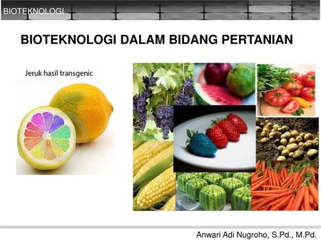 BIOTEKNOLOGI DALAM BIDANG PERTANIAN