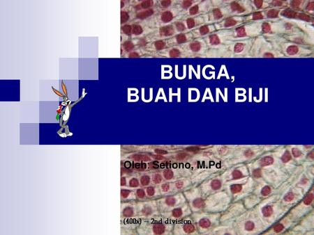 BUNGA, BUAH DAN BIJI Oleh: Setiono, M.Pd.