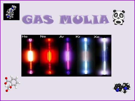 GAS MULIA.