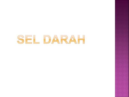 SEL DARAH.