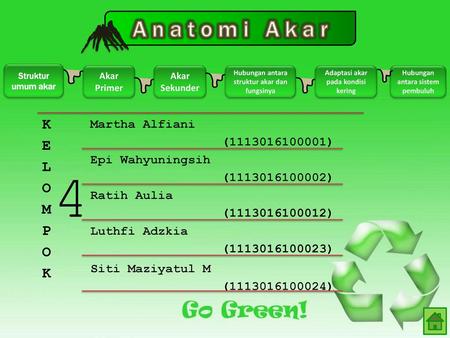 Anatomi Akar Ppt Download