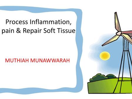 Process Inflammation, pain & Repair Soft Tissue