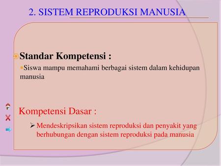 2. SISTEM REPRODUKSI MANUSIA