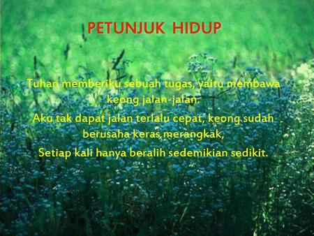 PETUNJUK HIDUP Tuhan memberiku sebuah tugas, yaitu membawa keong jalan-jalan. Aku tak dapat jalan terlalu cepat, keong sudah berusaha keras merangkak,