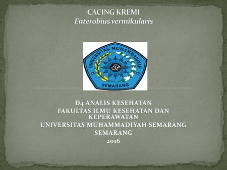 CACING KREMI Enterobius vermikularis