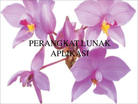 PERANGKAT LUNAK APLIKASI