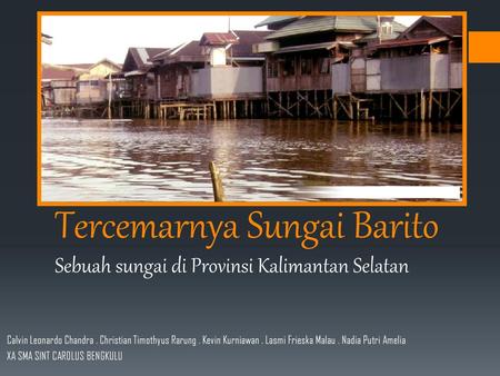 Tercemarnya Sungai Barito Sebuah sungai di Provinsi Kalimantan Selatan
