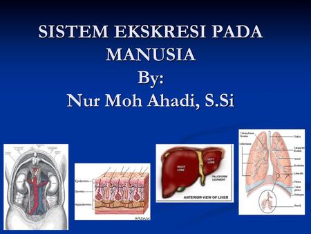 SISTEM EKSKRESI PADA MANUSIA By: Nur Moh Ahadi, S.Si