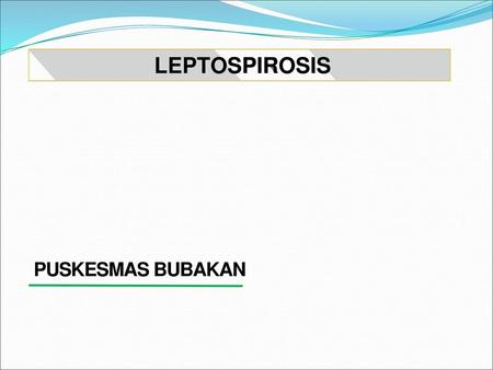 LEPTOSPIROSIS PUSKESMAS BUBAKAN 1.