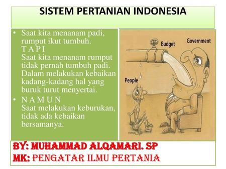 SISTEM PERTANIAN INDONESIA