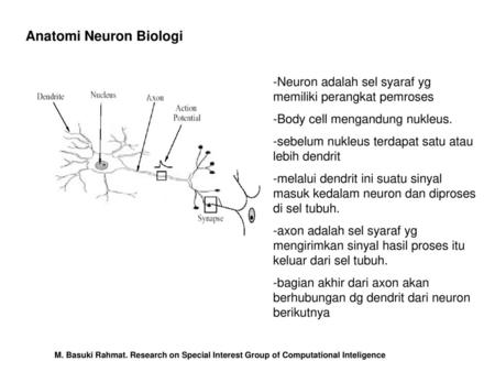 Anatomi Neuron Biologi