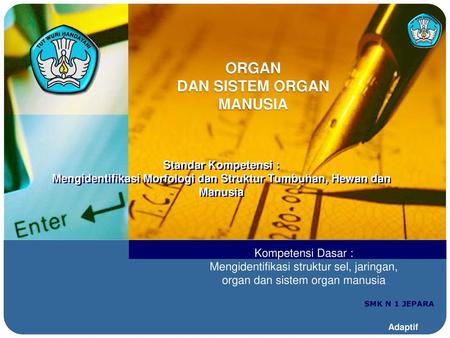 ORGAN DAN SISTEM ORGAN MANUSIA