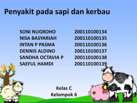 Penyakit Pada Sapi Dan Kerbau Ppt Download