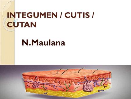 INTEGUMEN / CUTIS / CUTAN