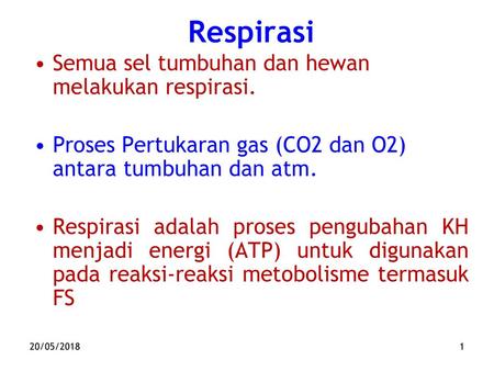 Respirasi Semua sel tumbuhan dan hewan melakukan respirasi.