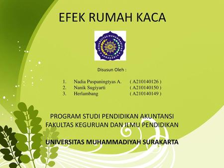 EFEK RUMAH KACA PROGRAM STUDI PENDIDIKAN AKUNTANSI