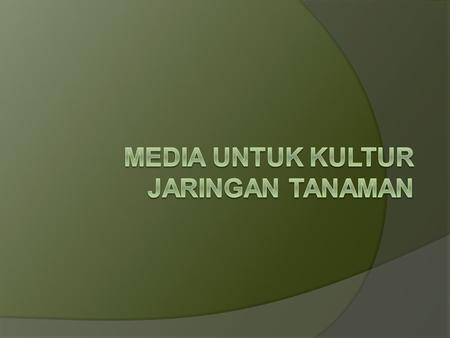 Media untuk Kultur Jaringan Tanaman
