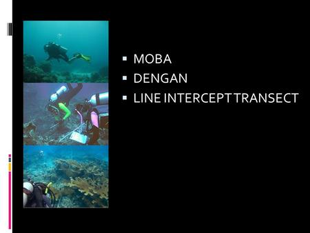 MOBA DENGAN LINE INTERCEPT TRANSECT.