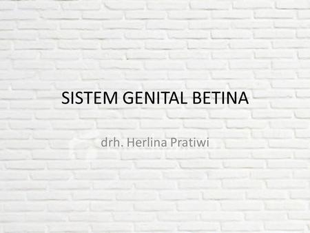 SISTEM GENITAL BETINA drh. Herlina Pratiwi.