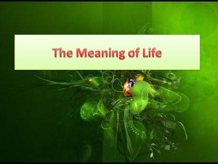 The Meaning of Life.
