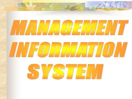 MANAGEMENT INFORMATION SYSTEM.