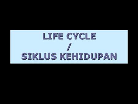 LIFE CYCLE / SIKLUS KEHIDUPAN.