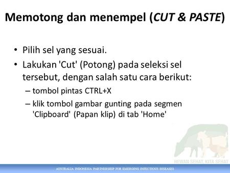 AUSTRALIA INDONESIA PARTNERSHIP FOR EMERGING INFECTIOUS DISEASES Memotong dan menempel (CUT & PASTE) Pilih sel yang sesuai. Lakukan 'Cut' (Potong) pada.