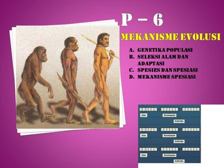 P – 6 MEKANISME EVOLUSI GENETIKA POPULASI SELEKSI ALAM DAN ADAPTASI