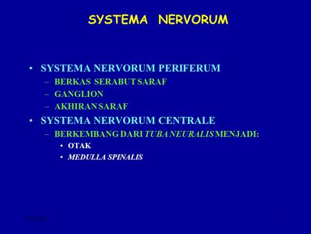 SYSTEMA NERVORUM SYSTEMA NERVORUM PERIFERUM SYSTEMA NERVORUM CENTRALE