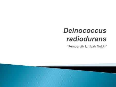 Deinococcus radiodurans