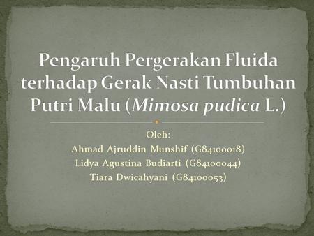 Oleh: Ahmad Ajruddin Munshif (G84100018) Lidya Agustina Budiarti (G84100044) Tiara Dwicahyani (G84100053)