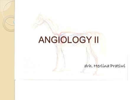 ANGIOLOGY II drh. Herlina Pratiwi.