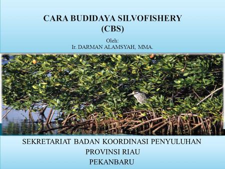 CARA BUDIDAYA SILVOFISHERY (CBS)